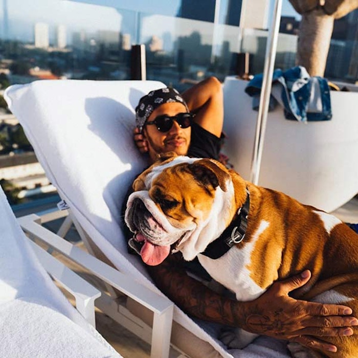 Lewis Hamilton Revealed That His Beloved Dog Is Now Vegan